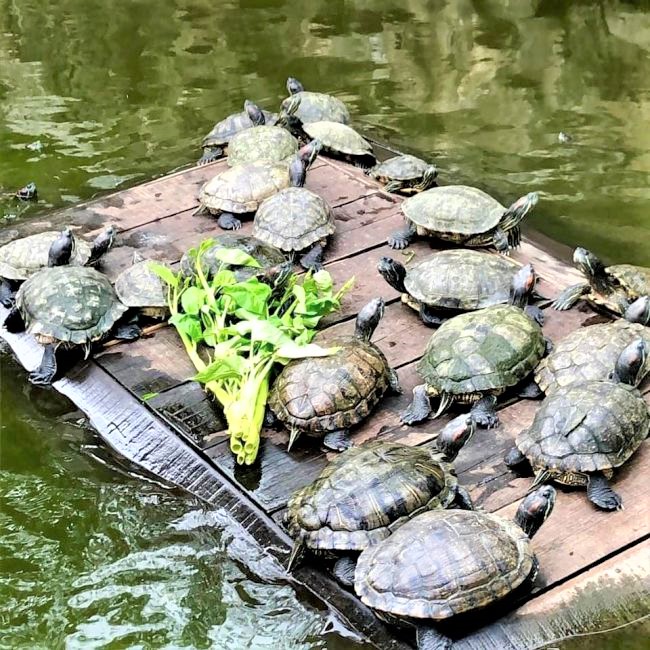 Instatour-Bangkok